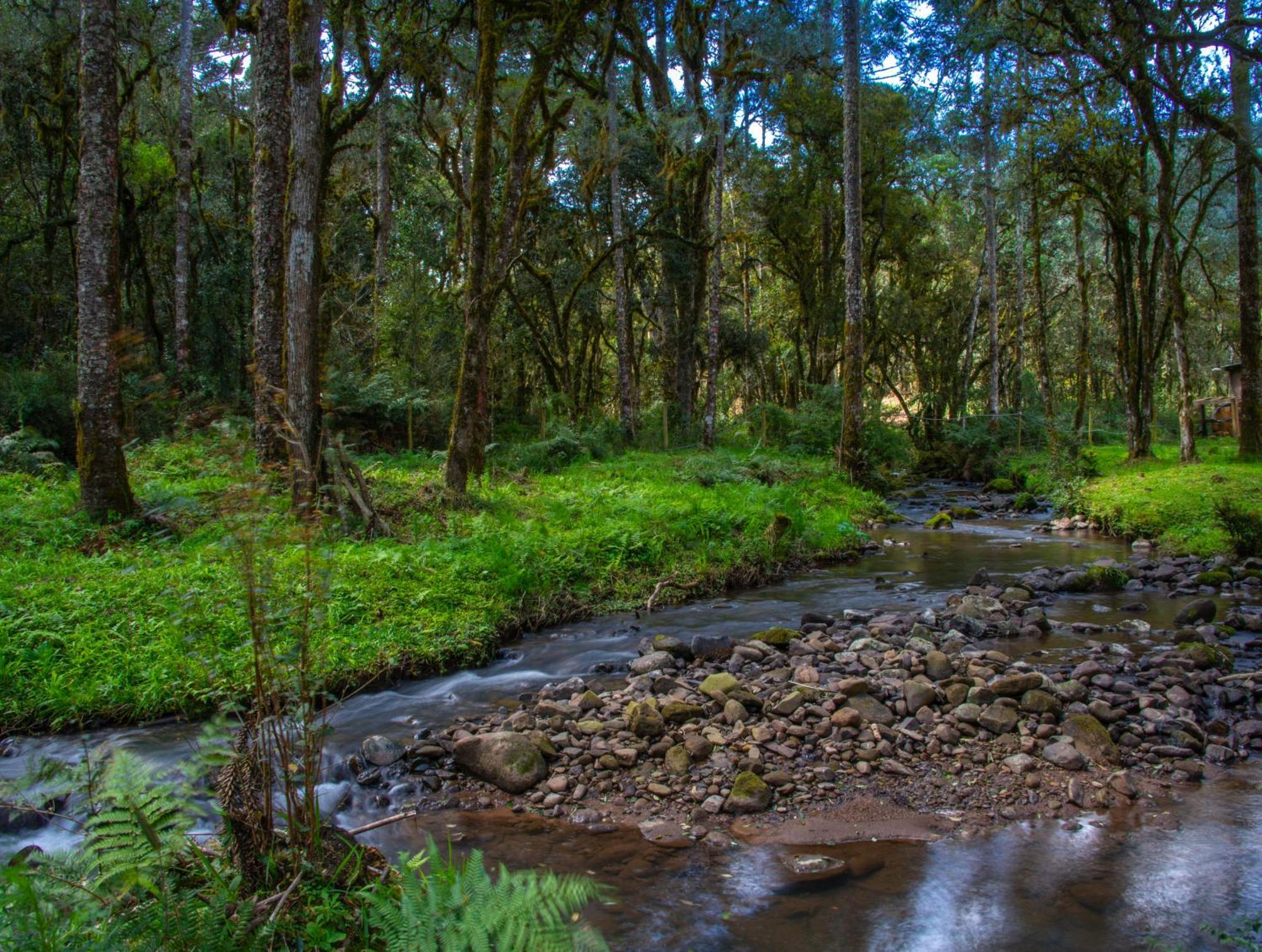 Refugio Tres Catarinas * Urubici